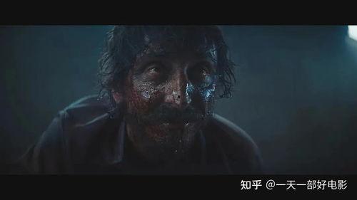 饥饿电影在线观看,在线观看揭示生存与人性极限的惊悚之旅